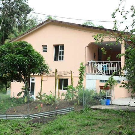 Maison Lavanne Saint-Joseph Екстер'єр фото