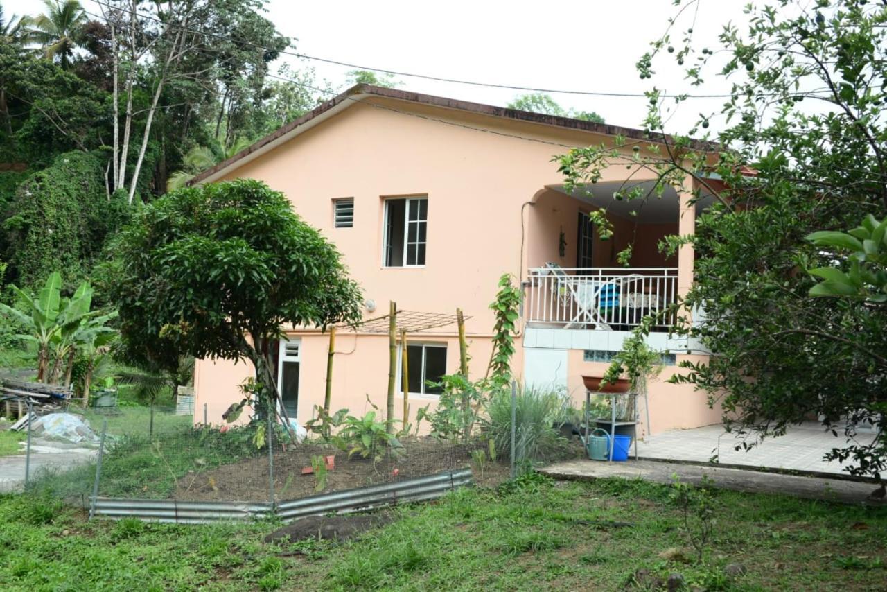 Maison Lavanne Saint-Joseph Екстер'єр фото